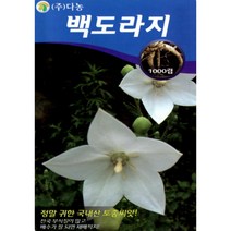 백도라지 - 흰 꽃 피는 도라지 씨앗 종자 - 소포장 - 1천립