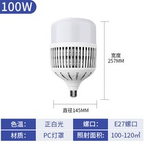 나사 공장 도매용 led 구근 요인 창고형천막 조명 LED볼전구, T05-100W, C01-흰빛