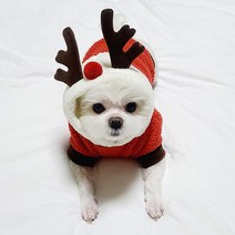 도기코디 루돌프 사슴 후드 티셔츠 크리스마스 산타 강아지겨울옷, 레드