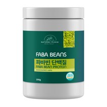 네추럴플레이스 파바빈 콩 단백질 프로틴 콩 자이언트 추천 200g, 3개