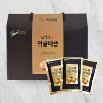 [웰굿] 남양주 프리미엄 먹골배즙 선물세트(각110ml 100포), 상세 설명 참조, 상세 설명 참조