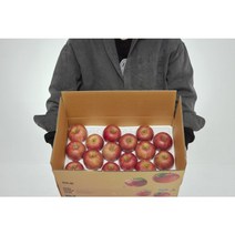 청년농부 못난이 부사사과 5KG, 5kg대과