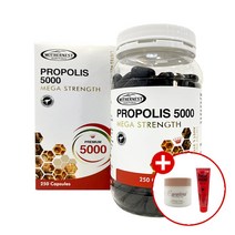 마더네스트 호주 프로폴리스 5000 250캡슐 목 에좋은영양제 포로폴리스 항산화건강 솔루션, 단품, 단품