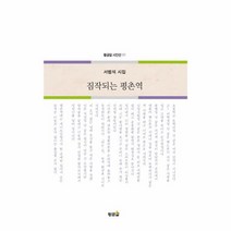 짐작되는 평촌역 171 황금알시인선, 상품명