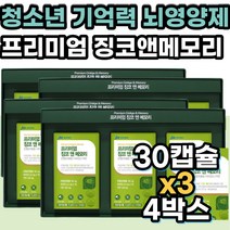 징코 은행잎 청소년 고등학생 기억력 뇌 건강기능식품 수험생 고시생 공시생 중학생 두뇌 머리 영양제 혈행 혈액순환 혈관 건강 개선 에좋은 수험생 아연 빌로바 비타민 GIONKGO