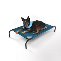 Coolaroo 오리지널 쿨링 엘리베이티드 반려동물 침대, Medium, Turquoise, Turquoise