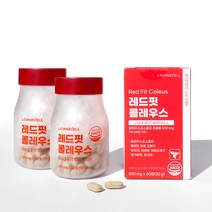 레드핏 콜레우스 다이어트 보조제 갱년기 유산균 영양제 비오틴 엽산 보이차 레몬밤 미네랄 60정x2box, 레드핏 콜레우스 2box, 2개, 60정