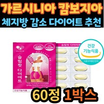 40대 여자 슬림핏 다이어트 가르시니아 체지방 감소 HCA 가르니시아 가르시아나 가르시아 옆구리살 종아리살 팔뚝살 추천 보조제 남자 남성 여성 30대 50대 60대 70대 추천