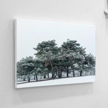 캔버스액자33.4x24.2 겨울소나무.꾸밈