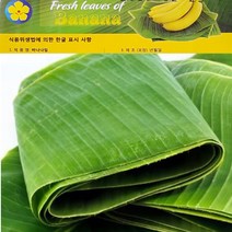 [프리미엄] 바나나잎 (Banana leaves), 1팩, 2kg