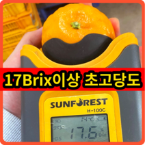브로노아 협력업체 수라향 신비향 설국향 제주직송 17브릭스 초고당도 신품종 가정용, 가정용3kg, 1개