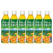 롯데칠성음료 제주감귤 500ml x 6펫, 6개