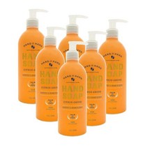 핸드인핸드 핸드워시 손세정제 핸드솝 액체비누 10oz 시트러스 Grove 300ml HAND IN HAND Hand Soap Citrus Grove, 6개