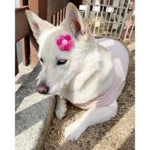 강아지머리핀 빗살핀 폼폼이핀 꽃핀 헤어핀 핸드메이드핀, 연핑크