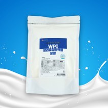 WPI 분리유청단백질 분말 500g HACCP 인증제품, 2팩