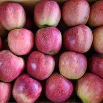 첫수확 청송 햇사과 안동 산지직송 흠과 꿀사과, 햇사과 2kg 중소과(7~9과), 1개