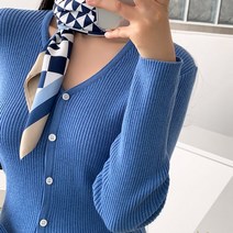 더제이수 / 블로우 패턴 스카프
