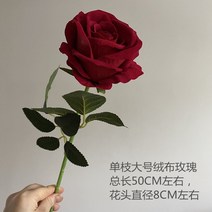 센픽 조화 버터플라이꽃 갈대 안개꽃 양귀비 미니 꽃다발 국화 116 동백꽃 자작나무가지, 네루 로즈 레드