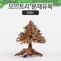 모스트리 분재유목M M801, 1개