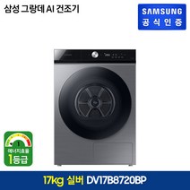 삼성 BESPOKE 건조기 그랑데AI 17kg [DV17B8720BP], 실내설치, 단일옵션