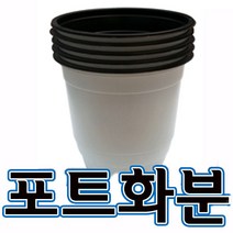 순희농장 모종포트 비닐검정포트 검정포트화분, 흰포트-50개
