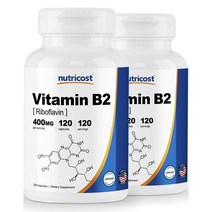 Nutricost Vitamin B2 뉴트리코스트 비타민 B2 리보플라빈 400mg 120캡슐 2팩