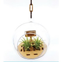 공기정화 식물원 만들기 (탄소중립) 깔끔이월드