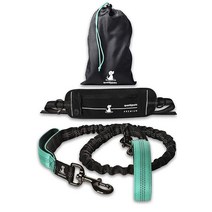 SparklyPets 허리 목줄 강아지 산책 패니 팩 - 중형/대형 품종을 위한 핸즈프리 개 휴대폰 홀더가 있는 산책용 팩 배변 가방 포켓 간식 파우치 및 병 홀더, Premium Teal, For 1 Dog