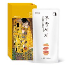 오늘의쉼표 세제 선물세트 답례품 자몽 1호 (주방세제 리필 300ml), 1개