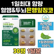혈행 건강 관리 개선 은행 잎 추출물 징코 빌로바 정 음식 효과 효능 제품 영양제 혈행에좋은 중년 노인 고농축 뇌 기억력 대용량 플러스 프리미엄 고용량 두뇌 아연 비타민 고함량