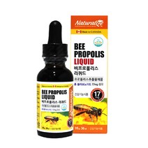 비프로폴리스 리퀴드 수용성 추출물 가루 고함량 propolis 플라보노이드, 30ml, 1병