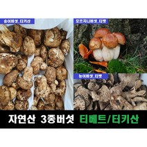 송이 능이 포르치니 자연산 냉동 3종세트