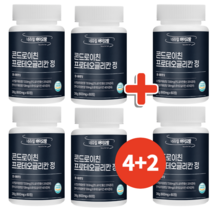 프로테오글리칸 콘드로이친 프리테오글리칸 콘도로이친 600mg, 6통, 60정