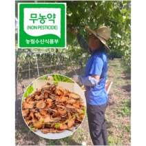 건조마 말린마 건조열매마 건조하늘마 600g 300g 1kg 2kg, 1+1 ( 2kg )