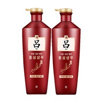 <려 홍진단 홍삼샴푸 820mlx2입> 국내산 홍삼의 진한 영양으로 모근강화 손상된 모발 집중케어 영양부족으로 약해진 두피와 모발 손상되어 끊어지고 갈라지는 한방샴푸, 2입, 820ml” class=”wr-img”></a></div>
</div>
</div>
</div>
<div class=