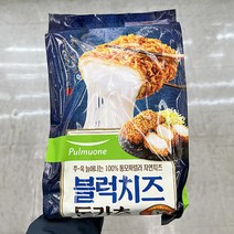 풀무원 블럭치즈 돈카츠 420g x 1개, 아이스보냉백포장