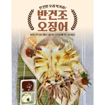 국내산 경북 영덕 반건조 오징어 산지직송 (10마리 진공포장), 6.특(10미) 1.4kg내외