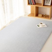 파크론 230 셔닐그레이 더스트앤드 먼지없는 가페트 러그 방수 거실매트