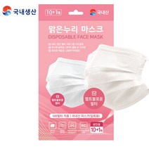 국내산 일회용 마스크 덴탈마스크 비말차단 MB필터 흰색 10+1매, 1개