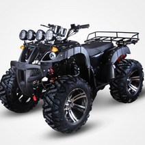 4륜 오토바이 대동메크론 가솔린 4발 오프로드 레저용 사륜 미니 엔진, 150cc