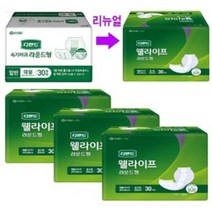 디펜드 웰라이프 라운드형 속기저귀 30매x3팩 (리뉴얼) 성인용기저귀, 1, 90매