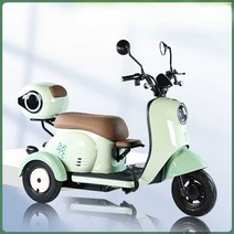 삼토바이 삼륜 오토바이 세발 출퇴근 스쿠터, 60V 800W 모터+22A 블랙골드배터리