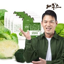 제주스 제주 유기농양배추즙 4박스 (120포), 단일수량, 단일개당 용량/중량/정