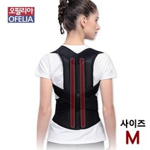 뼈연구소 바른자세 교정기 디스크본 M, 1개