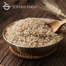 바로도정 2022년 햇 현미 2kg / 5kg 현미쌀 햅쌀, 현미2kg
