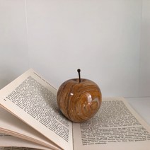 사과문진 사과오브제 페이퍼웨이트, M