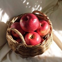 올해 첫 수확 안동꿀부사 드시고 건강해져봐요 (특대과 5kg / 15과 내외), 대과 5kg (개당 310g / 18과 내외)