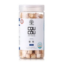 더내추럴 꾸꾸바이츠 연어 90g, 9개
