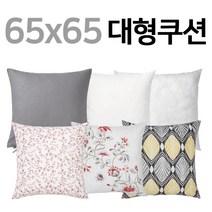 이케아 RODBINKA/HASSLEKLOCKA/HASTFIBLA/URSULA/65x65/쿠션커버/침대헤드쿠션/이케아 쿠션커버, 05 FJADRAR 503.727.76
