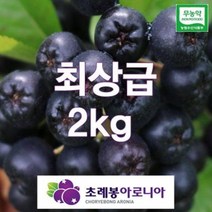 23년 유기농 자연초생재배 초례봉아로니아냉동생과 최상급 2kg(꼭지제거) / 농장 직배송